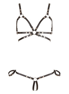 Harness 2 Pezzi