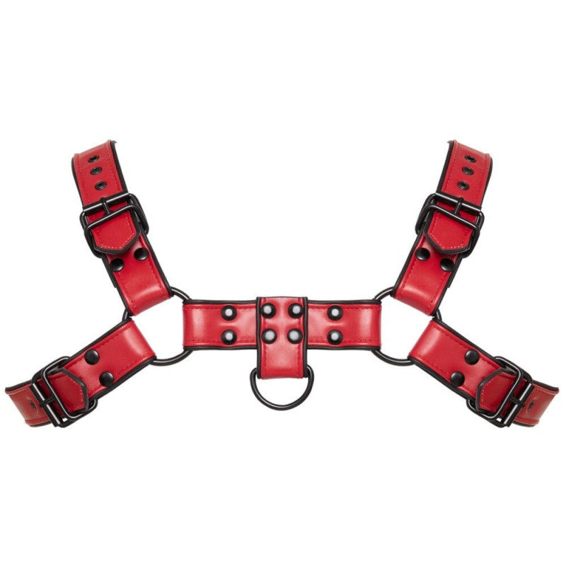 Chest Harness Rosso 2493810