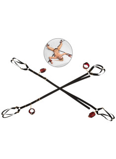 Bed & Door Restraint Set 3