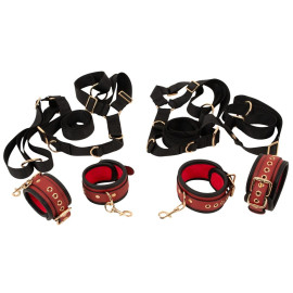 Bed & Door Restraint Set 4