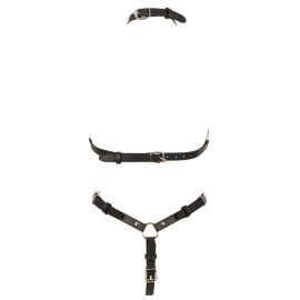 Body Harness 2493870 2