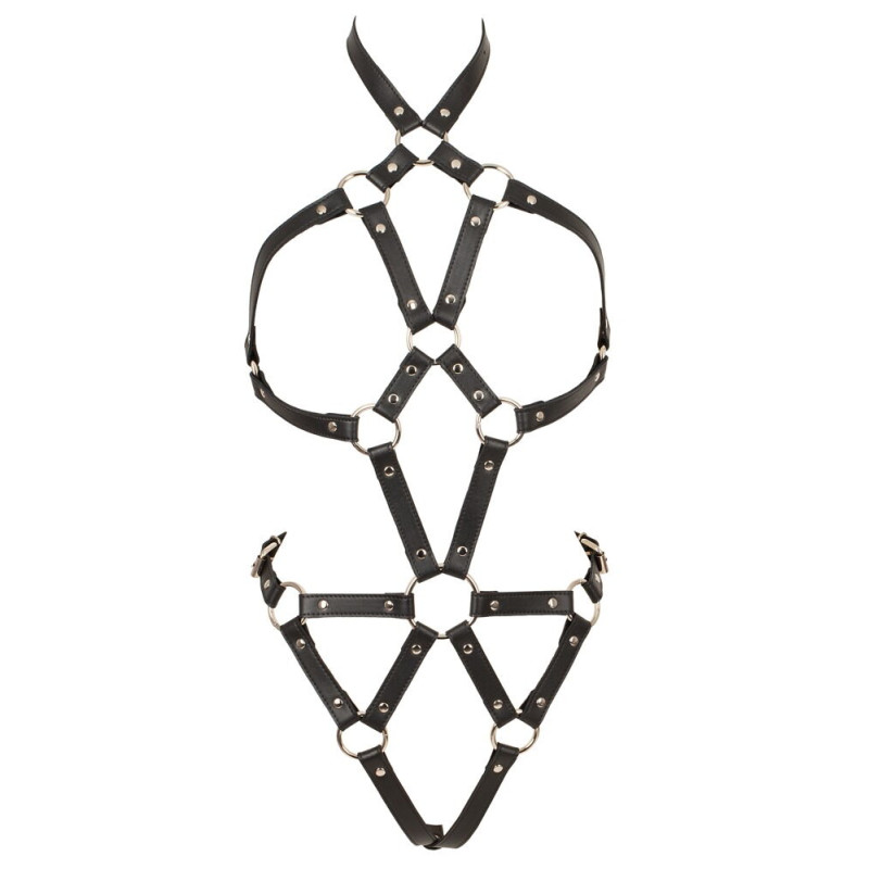 Body Harness 2493870