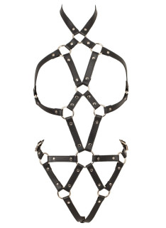 Body Harness 2493870