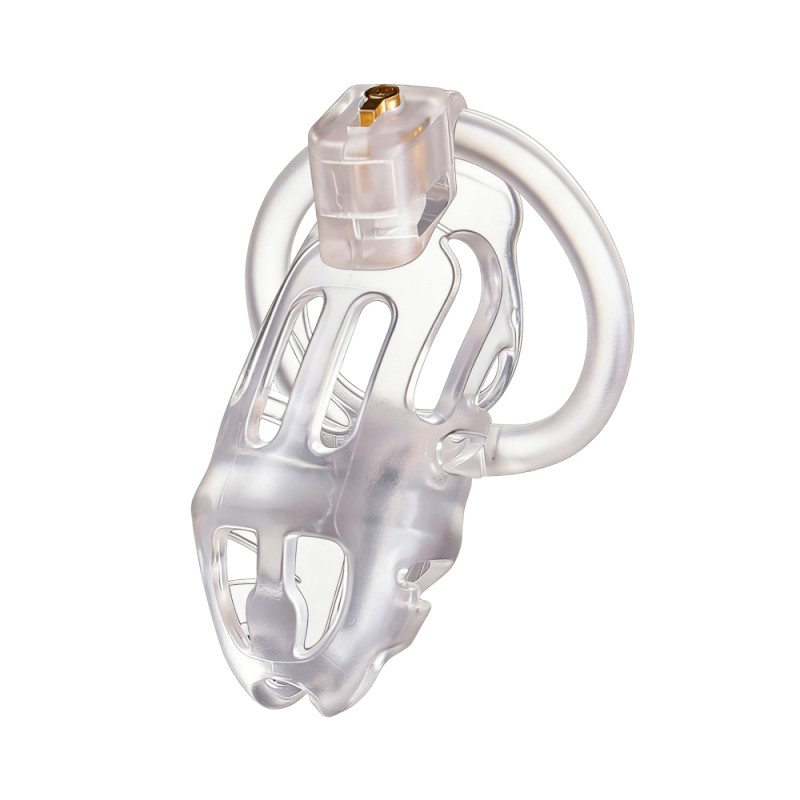 Vanguard Cock Cage