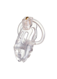 Vanguard Cock Cage