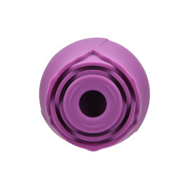 Rosa Succhia Clitoride Viola 2