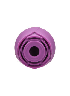 Rosa Succhia Clitoride Viola 2